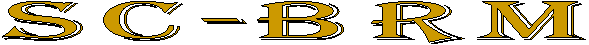 CURRICULUM