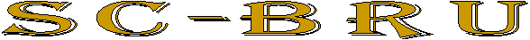 CURRICULUM