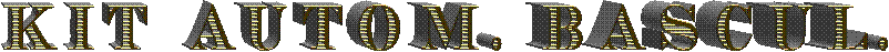 CURRICULUM